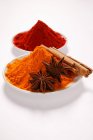 Closeup view of curry and chilli powders with star anise and cinnamon sticks — Stock Photo