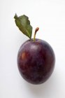 Prune mûre avec feuille — Photo de stock