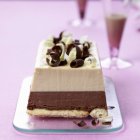 Chocolate ice cream cake — Stock Photo