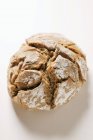 Fresh baked rye roll — Stock Photo