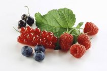 Fresh summer berries and leaf — Stock Photo