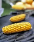 Yellow Barbecued corncobs — Stock Photo