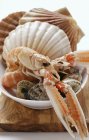 Крупный план креветок и моллюсков в белом блюде — стоковое фото