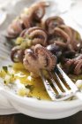 Closeup view of octopus in olive oil with herbs — Stock Photo