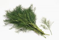 Bunch and sprig of fresh dill — Stock Photo