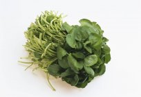 Свіжий зелений крес-салат — стокове фото