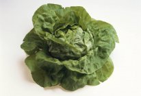 Fresh Green lettuce — Stock Photo