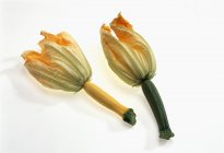 Zucchine fresche con fiori — Foto stock