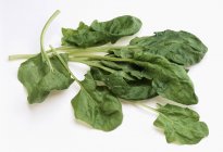 Foglie di spinaci freschi — Foto stock
