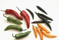 Colorful fresh chili peppers — Stock Photo