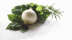 Ervas aromáticas frescas e cebola branca — Fotografia de Stock