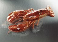 Cooked lobster on metal — Stock Photo