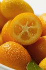 Kumquats avec des gouttes d'eau — Photo de stock