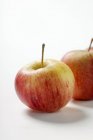 Frische reife Äpfel — Stockfoto