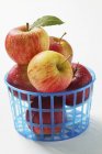 Свіжих, здорових, стиглих яблук — стокове фото