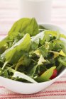 Vista close-up de salada de ervas verdes em tigela branca — Fotografia de Stock