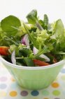 Salade aux oignons rouges et tomates dans un bol — Photo de stock