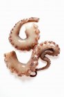 Braços Octopus, close-up — Fotografia de Stock