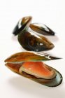 Cooked New Zealand mussels — Stock Photo