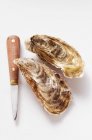 Huîtres fraîches avec couteau à huîtres — Photo de stock