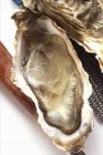 Geöffnete Auster und Messer — Stockfoto