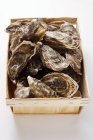 Huîtres dans une caisse, gros plan — Photo de stock