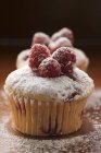 Raspberry muffins with icing sugar — Stock Photo