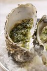 Baked oysters with herb breadcrumbs — Stock Photo