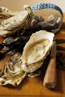Ostriche fresche, guanto di ostrica — Foto stock