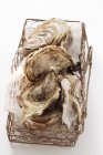 Oysters in basket, close-up — Stock Photo