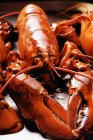 Boiled lobsters, close-up — Stock Photo