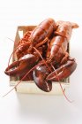 Lobster in woodchip basket — Stock Photo