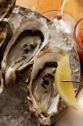 Oysters on ice with wedge of lemon — Stock Photo