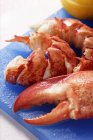 Obster, cooked and prepared — Stock Photo