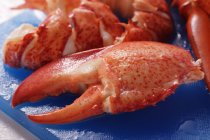 Lobster, cooked and prepared — Stock Photo