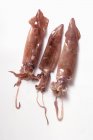 Top view of three dead squids on white surface — Stock Photo