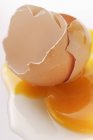 Egg yolk and eggshells — Stock Photo