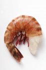 Crevette royale sans tête — Photo de stock