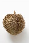Fresh durian fruit — Stock Photo