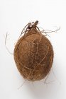 Свіжого кокосу стиглі — стокове фото