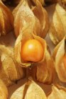 Физические фрукты с каликсами и без них — стоковое фото