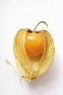 Fruta Physalis con cáliz - foto de stock