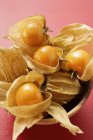 Physalis fruits in wooden bowl — Stock Photo