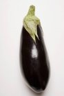 Fresh and ripe eggplant — Stock Photo