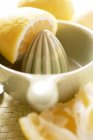 Limone con spremiagrumi — Foto stock