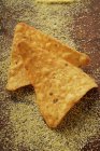 Dois chips de tortilla — Fotografia de Stock