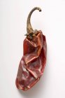 Dried chilli pepper — Stock Photo