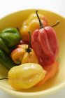 Piments colorés — Photo de stock