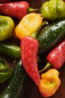 Chiles coloridos - foto de stock