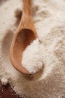 Closeup view of white cornmeal with wooden spoon — Stock Photo